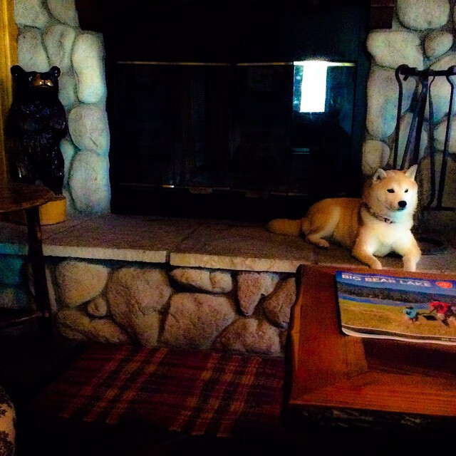 星辰逆转，本泽马独舞夜，切尔西以坚韧冷光刺穿马德里铁幕