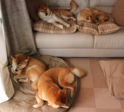 东方冻土与风城烈焰，当范弗利特的代码改写结局