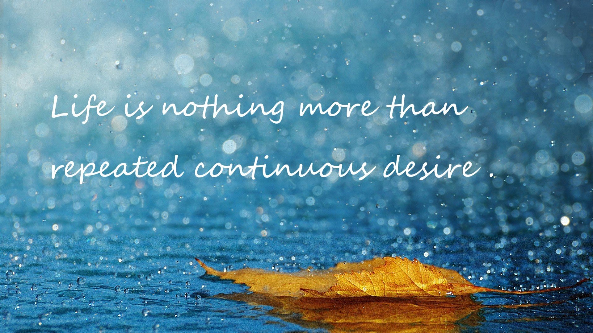 绿茵场与总决赛地板,德甲争冠的悬念与爵士的终结艺术