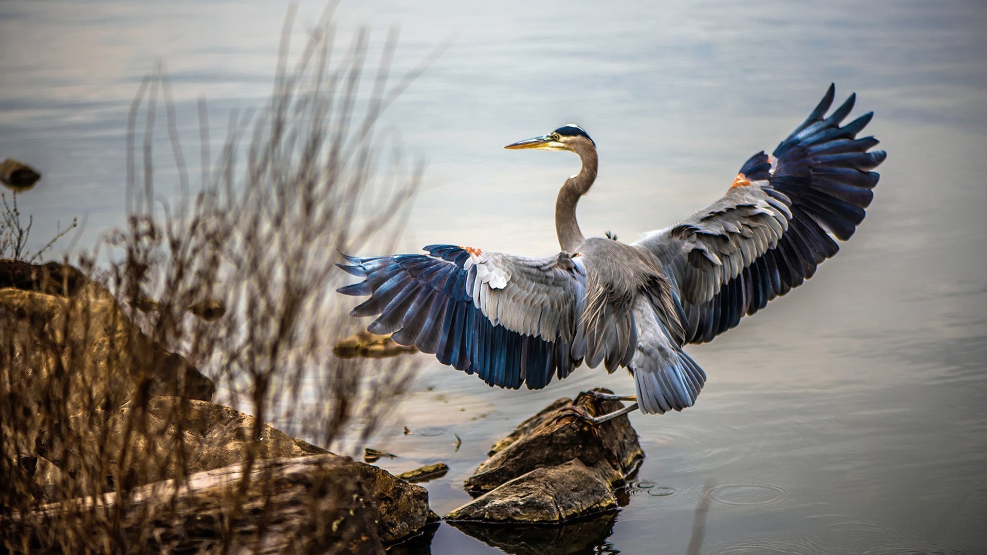 平行时空，当马刺的旋转命中银箭的弯心