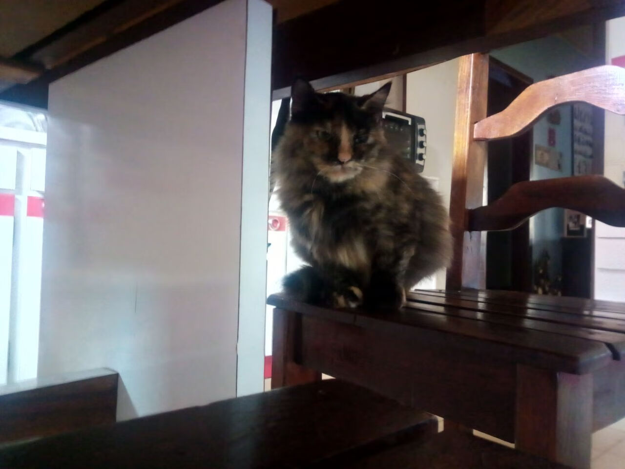 F1年度争冠之夜，佩德里关键回合不手软，逆转夺冠传奇