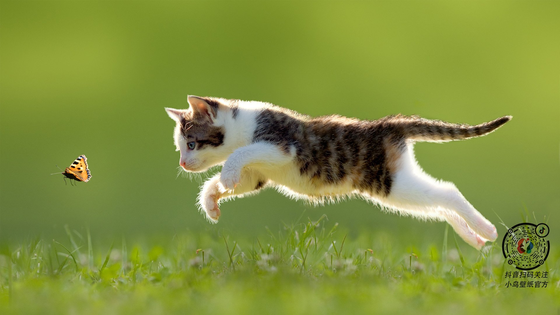 开云体育平台APP-劳塔罗一锤定音，当瑞士钟表遇到非洲雄狮，他主宰了唯一精准的节奏