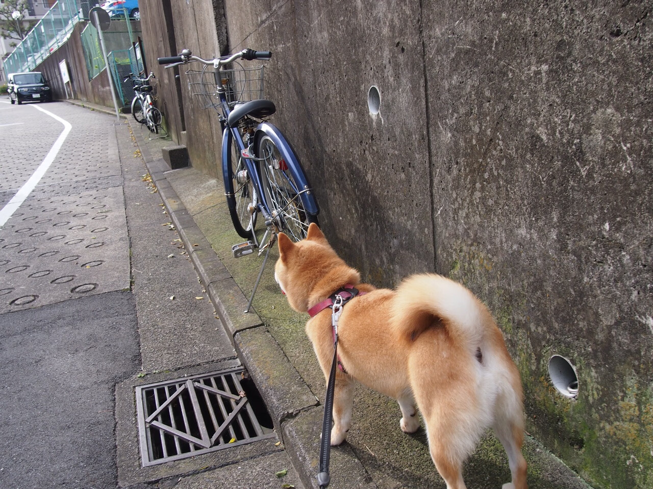 东决战火与老特拉福德的胜利回响