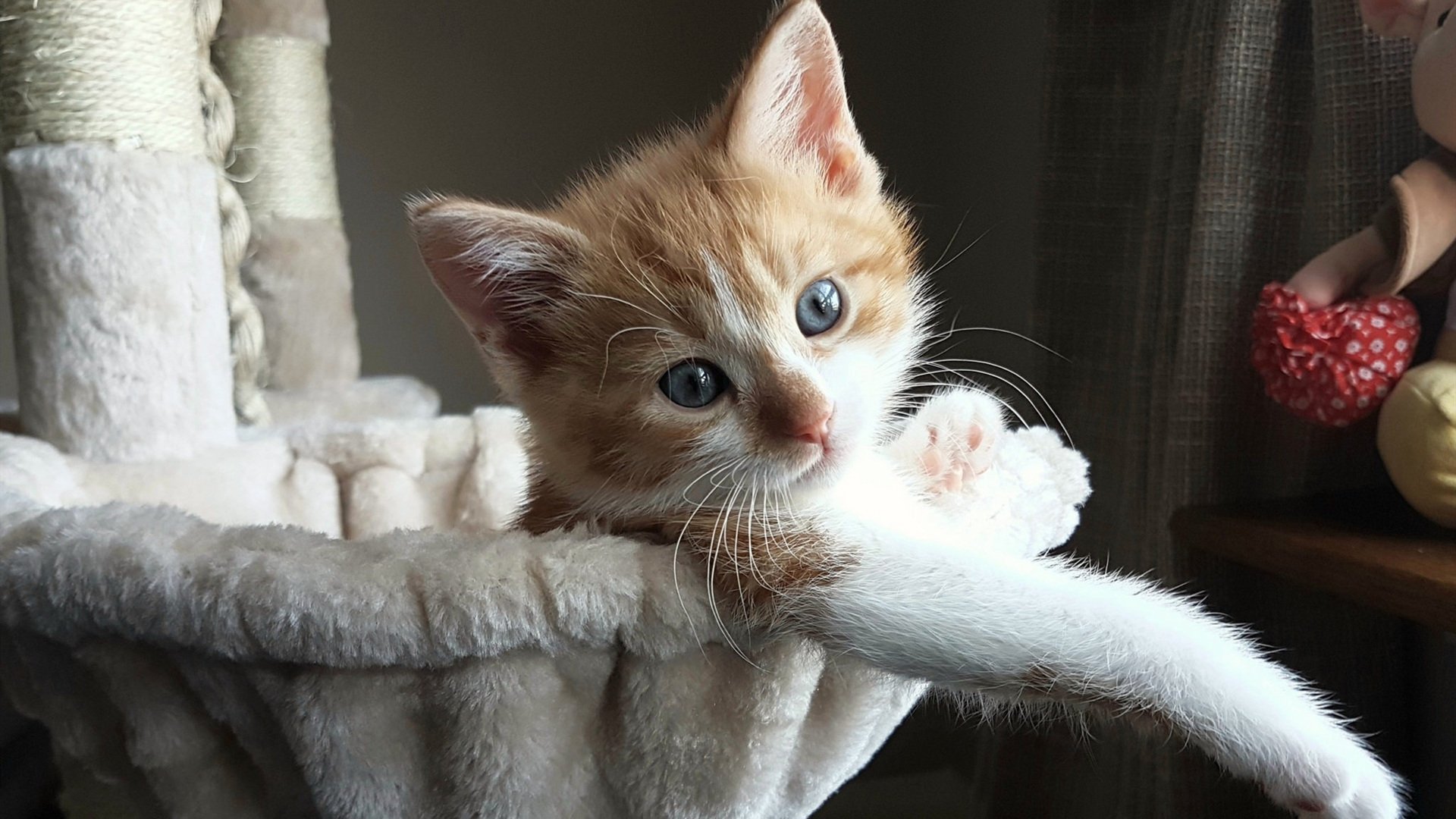 顶流与暗流，当西甲德比照见辽宁陨落