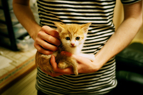 跨越时代的足球图谱，本泽马的千场镌刻与多特蒙德的青春险途