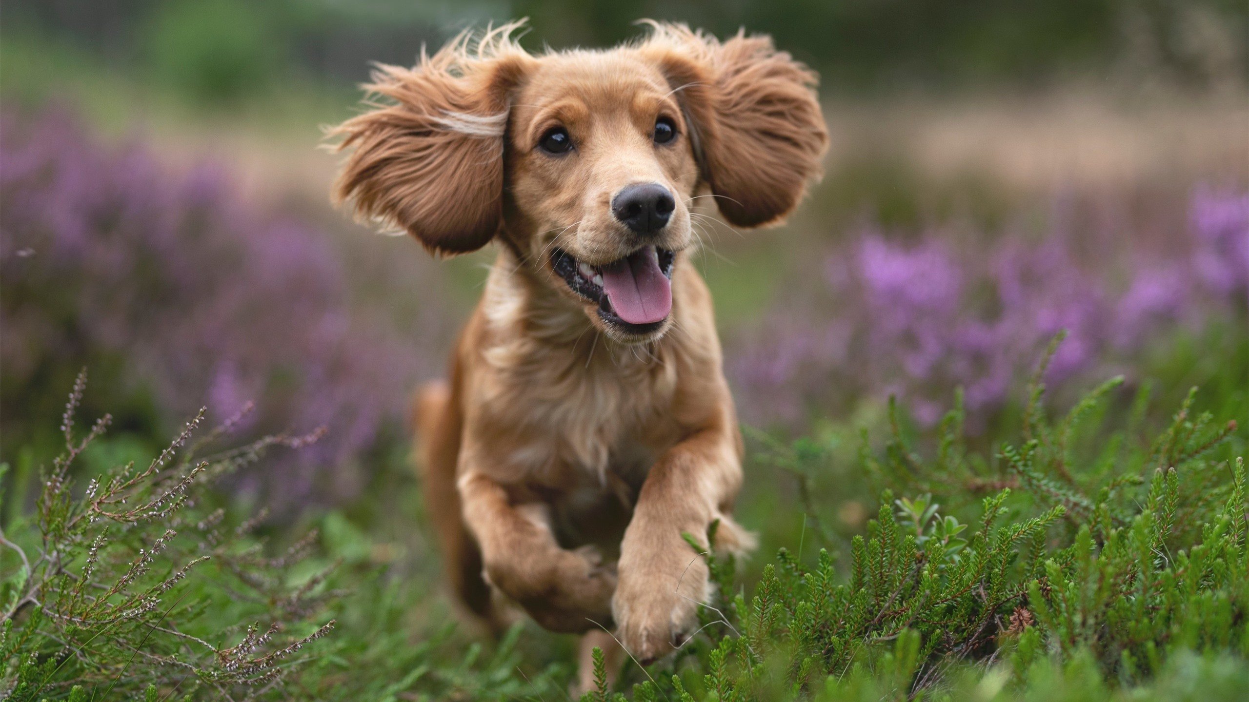 当东方铁壁遇上西方利刃,欧文末节狂飙导演逆转好戏