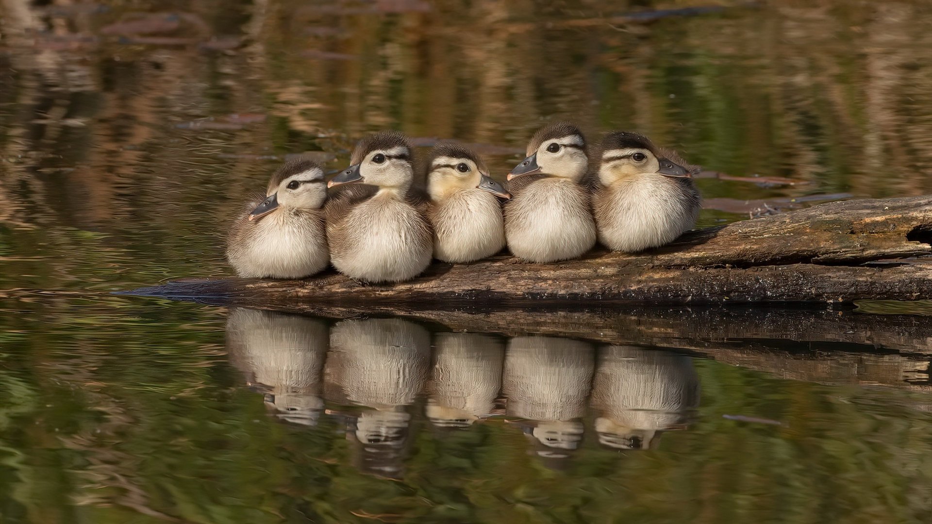当东方铁壁遇上西方利刃,欧文末节狂飙导演逆转好戏