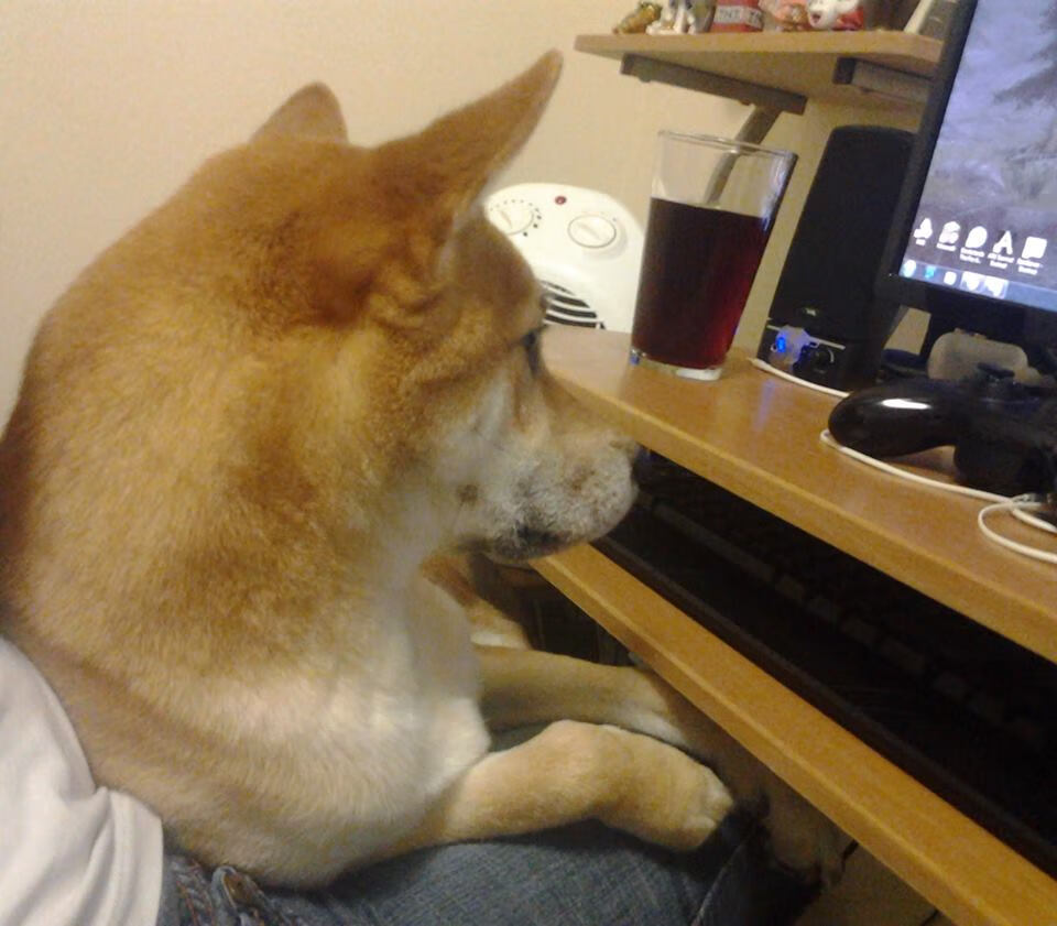 开云体育登录-范戴克一锤定音，墨西哥客场擒下加拿大，夺得北美大陆国家德比