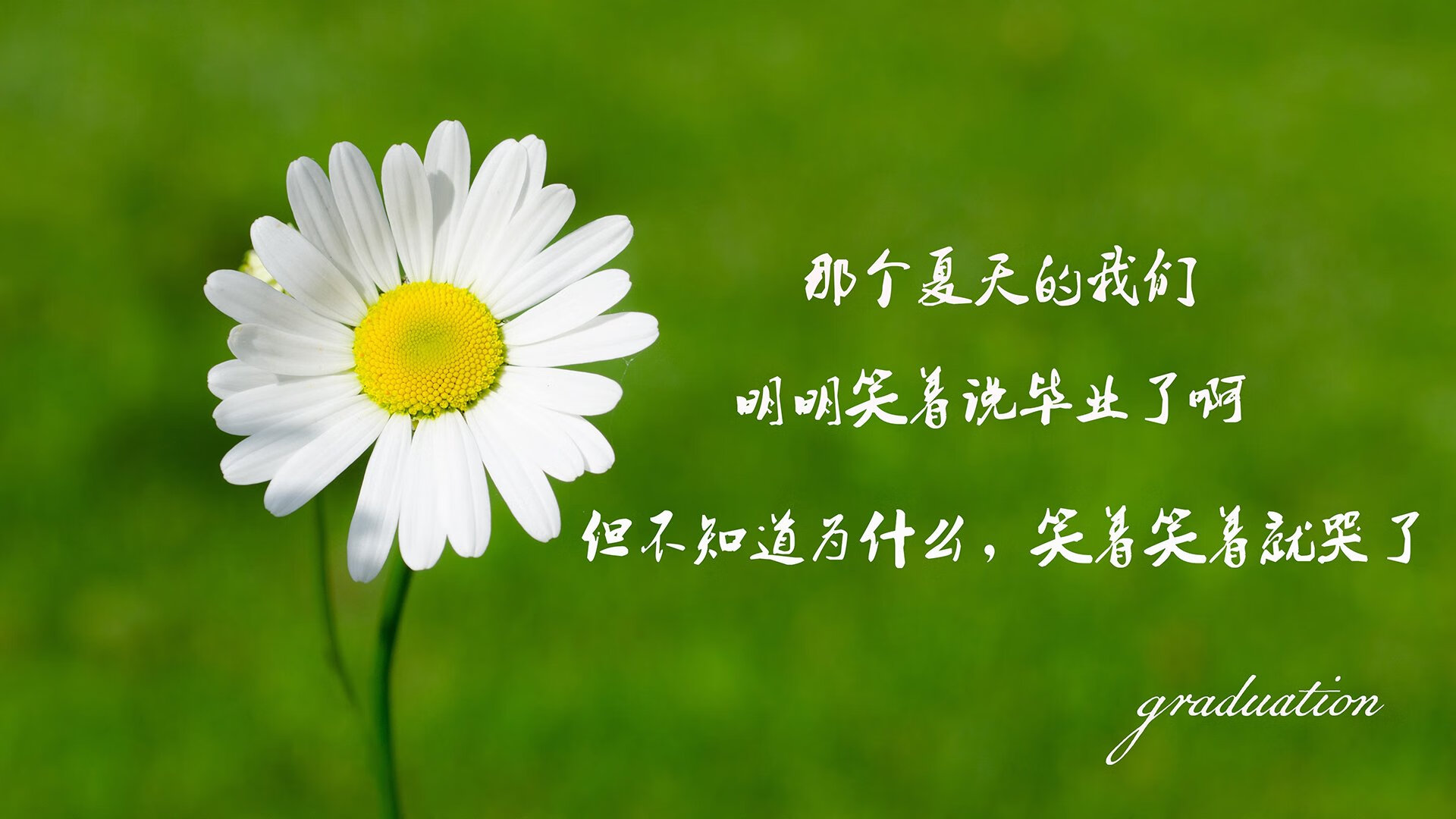 定义夜晚，当伦纳德将年度焦点之战熔铸成个人传奇的金属勋章