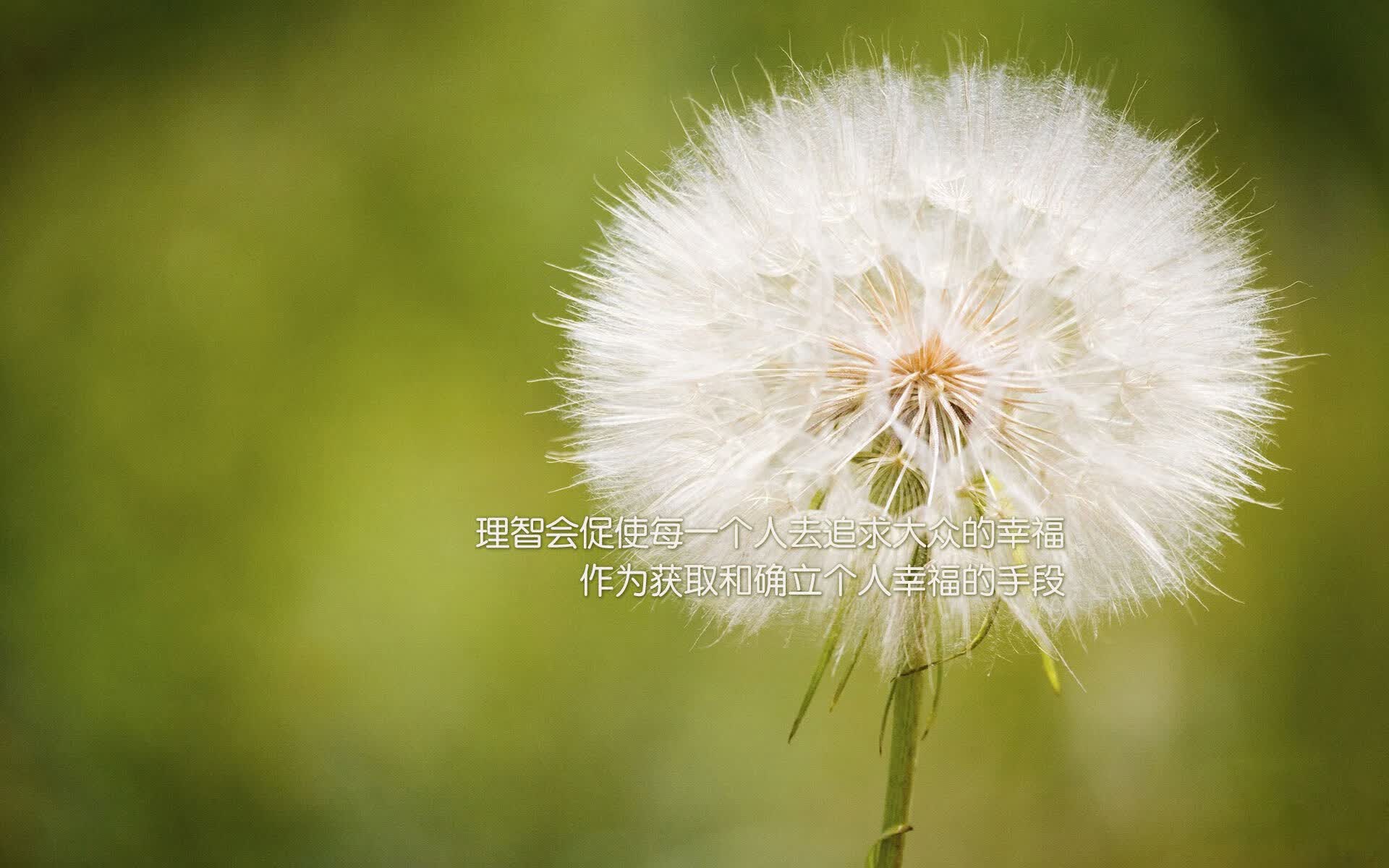 从绝杀到铁壁，德容的西班牙如何用一场经典征服2026世界杯F组